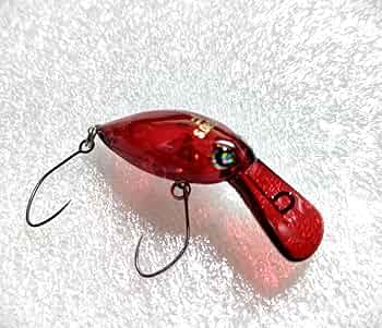 71Wx+tp5cLL._AC_UF350,